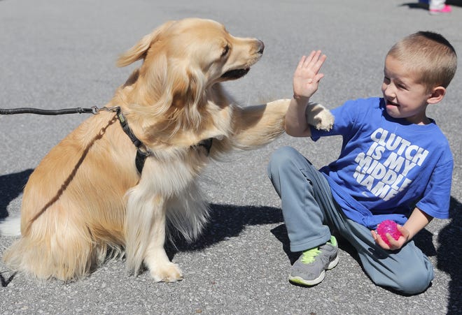 Jackson Parish high-fives Josie in March 2015. On Saturday, Responsible Dog Owners Day will offer games, demos and microchopping for dogs and families. [NEWS HERALD FILE PHOTO]