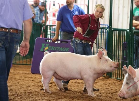 It was a busy week at the 2017 Tuscarawas County Fair.