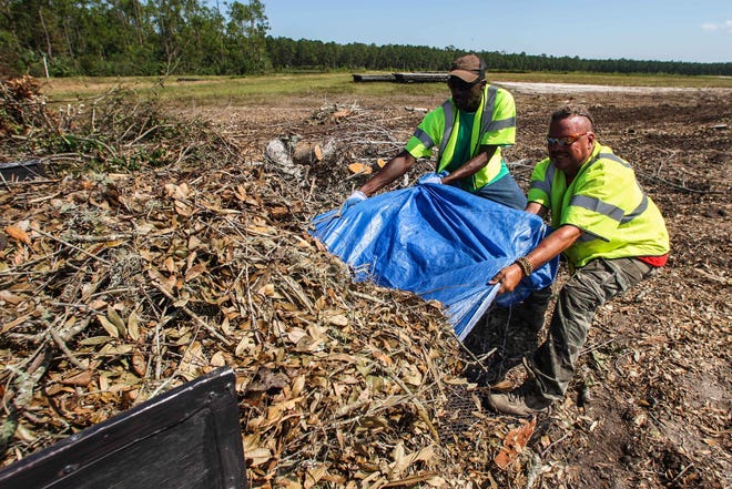 Clifford Kent (left) and William Crossan help residents to drop off debris at the Tomoka Landfill in Port Orange on Wednesday, September 27, 2017. [News-Journal / LOLA GOMEZ]