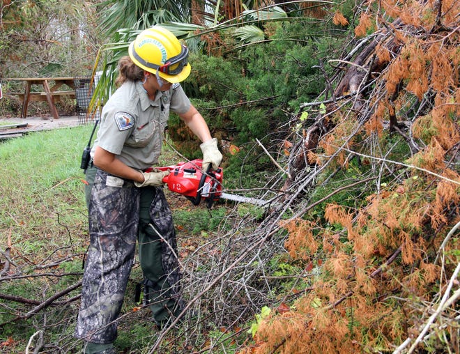 Park Services Specialist Celena Cline works to clear a downed cedar tree at Smith Creek Landing in North Peninsula State Park during National Public Lands Day on Saturday, Sept. 30, 2017 [News-Tribune/Mark Estes]