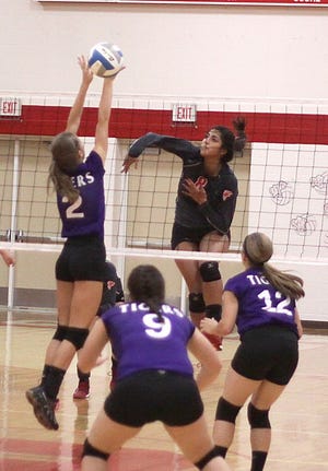 Paulina Diaz of Constantine powers home a kill against Lawrence on Tuesday evening.