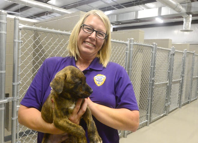 New RBC shelter already taking in animals