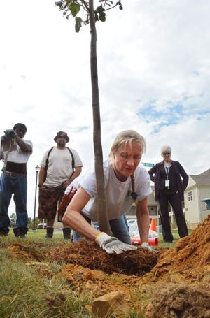 Lisa Simms, executive director of the New Jersey Tree Foundation, demonstrates how to plant a tree Wednesday in the Freedom Village neighborhood in Westampton.