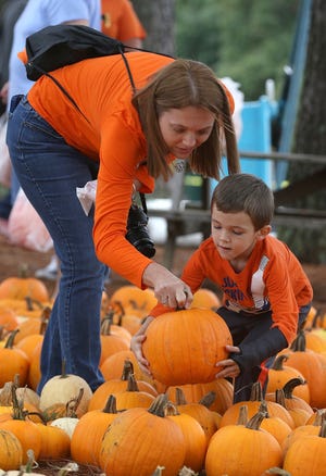 Jackie Foley and her 4-year-old son, Carter Foley, pick out their pumpkin at Lineberger's Maple Springs Farm on Dallas Stanley Highway on Friday. [Mike Hensdill/The Gaston Gazette]