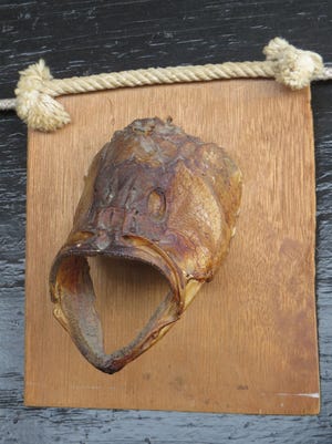 This well-preserved fish head is probably not something that would be displayed on a living room wall. The memories and feelings it evokes make it a trophy well worth saving, however. [Ed Wall/The Daily News]