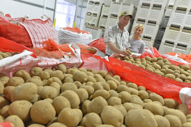 Alan and Leslie Jones, of Jones Potato Farm in Parrish, suppy potatoes to the Sarasota County School District. The Sarasota County School District is buying more food from local farms. [HERALD-TRIBUNE ARCHIVE / THOMAS BENDER]