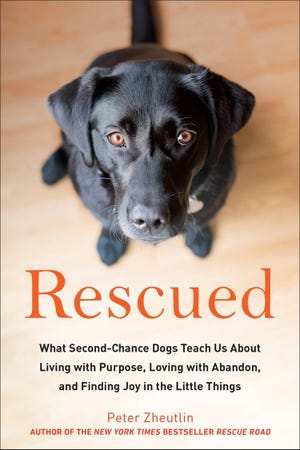 “Rescued” by Peter Zheutlin, $16, 225 pages.