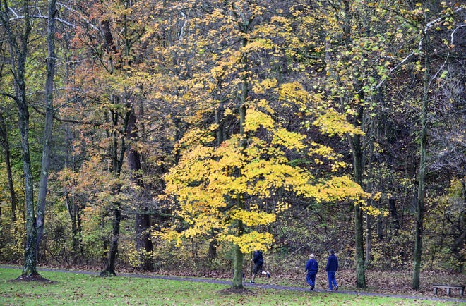 Folks stroll through the leaves on the walking trail at Bradys Run Park Tuesday morning. [Lucy Schaly/BCT staff]