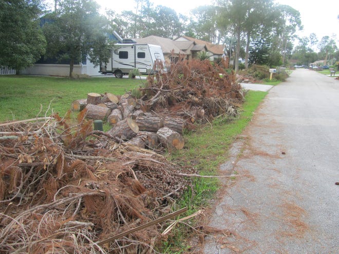 Debris in the front yard of a home on Wedgewood Lane in Palm Coast on Monday. [News-Journal/Matt Bruce]