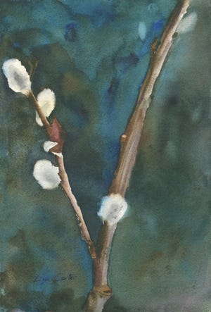 “Pussy Willow 3” by Liza F. Carter. [Courtesy Photo]