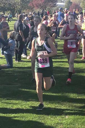 W-G freshman Posey Robinson led the Hawks, taking 31st overall at the State Qualifying meet. PHOTO SUBMITTED TO THE CHIEF