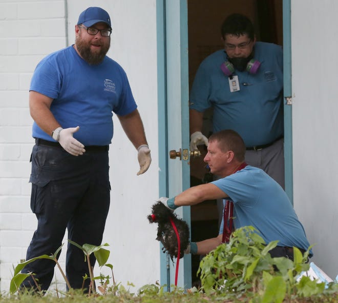Marion County Animal Services officers are shown removing dogs from a home on Northeast 12th Avenue on Oct. 5. Janet H. Manfredo was arrested Tuesday on animal cruelty charges. [Bruce Ackerman/Ocala Star-Banner] 2017.