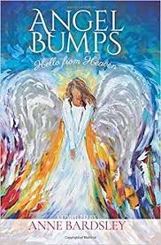 “Angel Bumps: Hello from Heaven." [Mill Park Publishing]