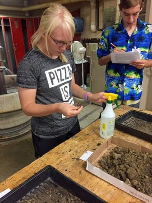 Courtney Wuebker and Cael Schreier work on soil texture identification. Contributed photo