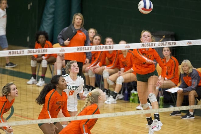 Mosley's Lauren Mask hits the ball over the net during the Dolphins' four-set win over Arnold on Wednesday. Mask led all players with 22 kills. [JOSHUA BOUCHER/THE NEWS HERALD]