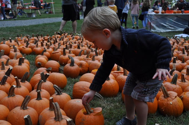 Patrick Wilson, 2, plays in the pumpkin patch. [COURTESY PHOTOS / SARAH AUGUSTINE]