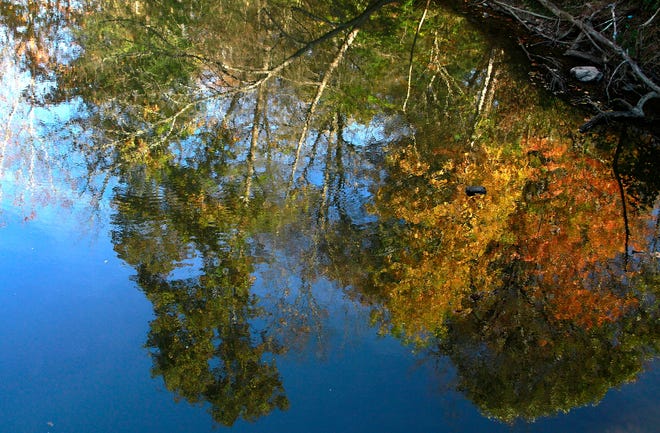 Trees are reflected in the Clear Fork of the Mohican River near the covered bridge in the Mohican State Park on Friday, Oct. 27.
