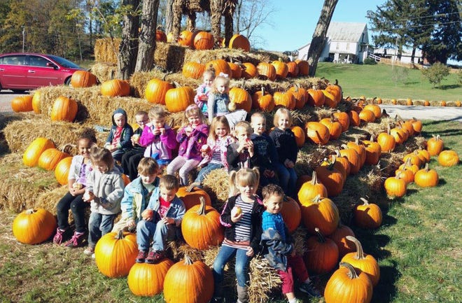 Students from the HeadStart preschool in Glenmont recently took a field trip to Harvey's Market, where they discovered the origins of and about different types of fruits and vegetables, including pumpkins and apples. The trip included sampling apples and cider.