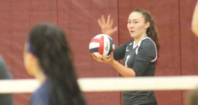 Hannah Summers and the AHS volleyball team beat Revere on Friday. [Wicked Local Staff Photo / Doug Hastings]