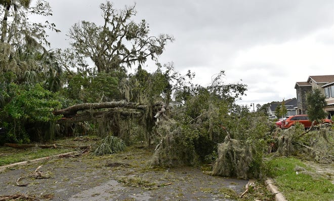 Daylight on Sept. 11, 2017, revealed that Hurricane Irma left Manatee County to contend with tons upon tons of downed trees and other vegetative debris. STAFF PHOTO / THOMAS BENDER