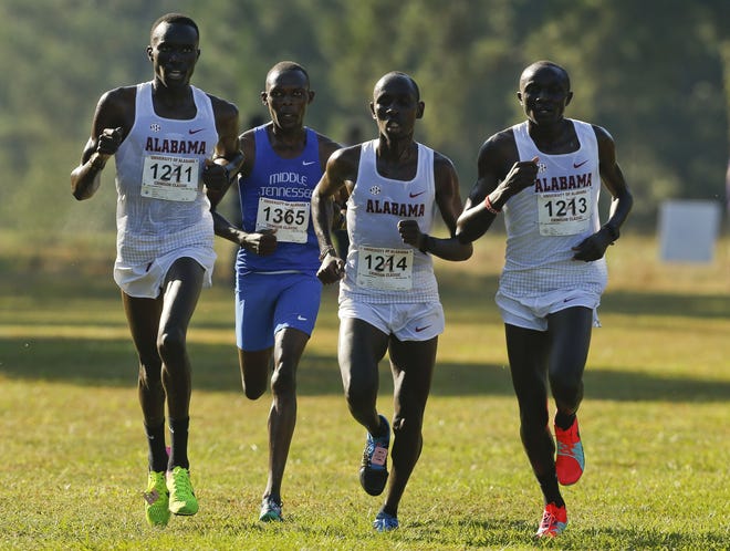 Alabama runners Alfred Chelanga, Vincent Kiprop and Gilbert Kigen are trailed by Middle Tennessee State runner Jacob Choge as they run the 8,000 meter event in Crimson Classic Cross Country Invitational at the Harry Pritchett Running Course in Tuscaloosa Friday, Oct. 13, 2017. All three Crimson Tide runners qualified for Saturday's NCAA Championships. [Staff Photo/Gary Cosby Jr.]
