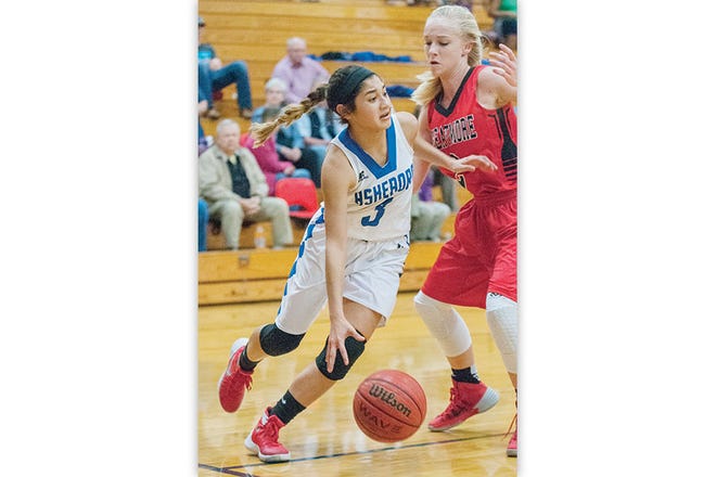 POINT — Rachel Luna gives the Blue Comets an experienced guard.