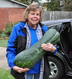 Master Gardener Mary Smith holds "Long of Naples," an Italian heirloom squash that tips the scales at 33 pounds. It found its way into a packet of Cushaw squash seed. [COURTESY PAT ROBBINS]
