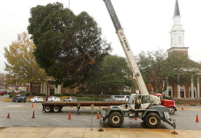 A crew raises the Christmas tree on the front lawn of the Tuscaloosa County Courthouse on Thursday. [Staff Photo/Gary Cosby Jr.]