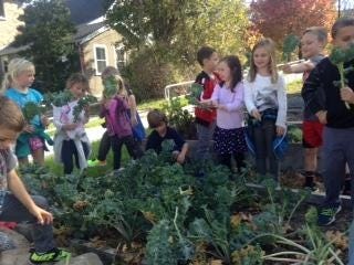 First grade students at the Jenkins Elementary School harvest vegetables from the school garden in preparation for National Food Day.

[Courtesy photo]