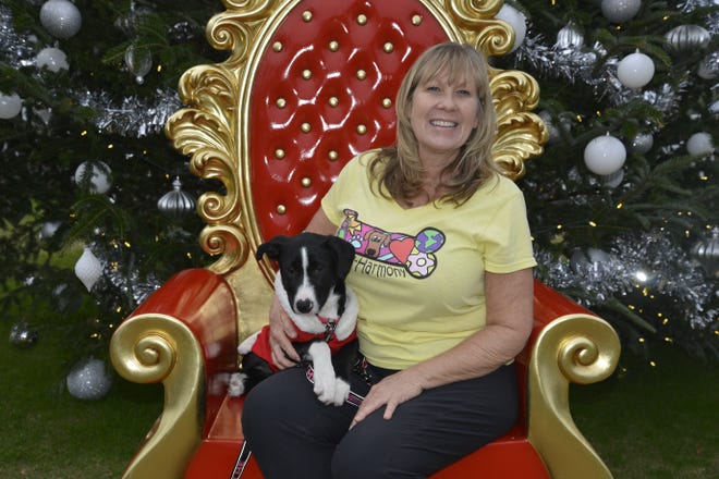 Dog-Harmony founder Nancy Bown sits with adoptable dog Cooper recently at Grand Boulevard. [SAVANNAH VASQUEZ/DAILY NEWS]