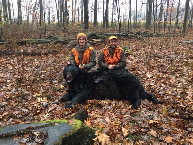 Chad Wagner of Titusville, left, and his friend, Ryan Thompson, are shown with the 700-pound bear Wagner shot Nov. 18. The bear is likely the largest taken by a hunter in Pennsylvania this year. [CONTRIBUTED PHOTO]