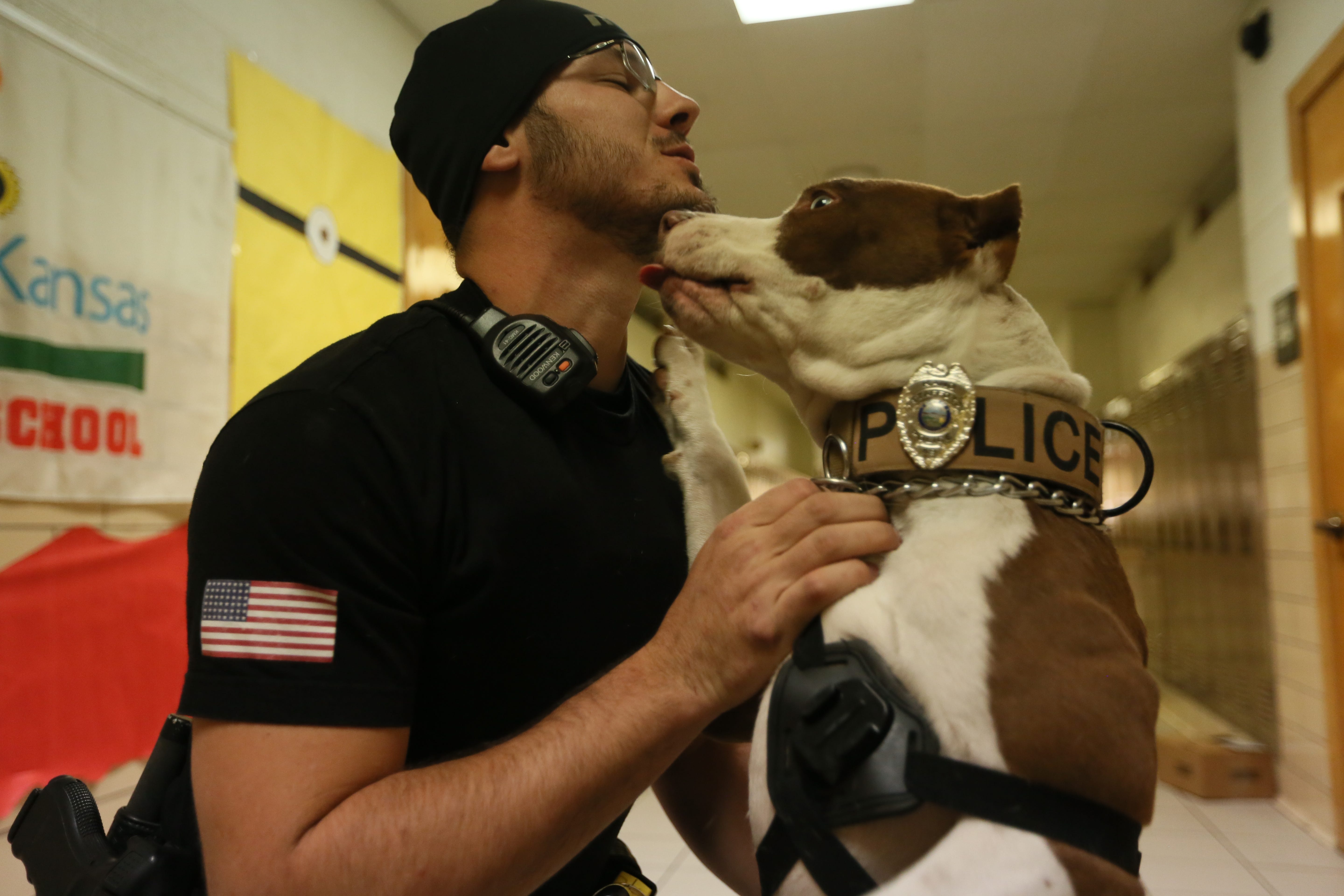 Can Pitbulls Be Used As Police Dogs