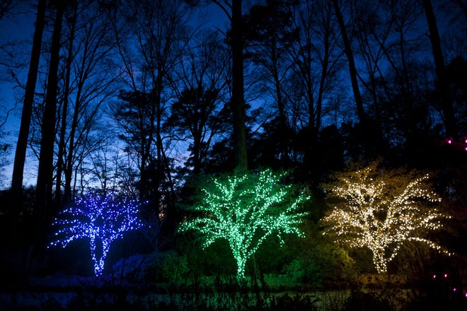 Cape Fear Botanical Garden's Christmas lights display will continue through the holiday. [FILE PHOTO/THE FAYETTEVILLE OBSERVER]