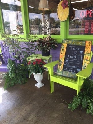 The Plant Place is more than a place for, well, plants. The store also has a ever-changing gift shop with all things to enhance the oasisat your home. [PHOTO BY ALLISON BALLARD]