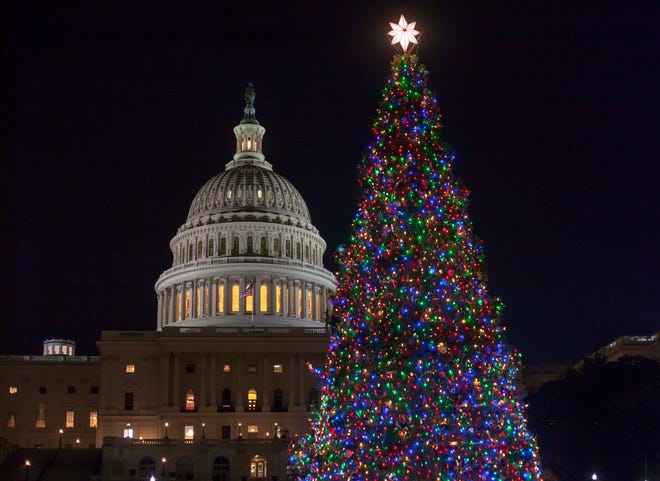 The Capitol Christmas tree is illuminated as lawmakers in the Senate work late into the evening on the Republican tax bill, in Washington, Tuesday, Dec. 19, 2017. (AP Photo/J. Scott Applewhite)