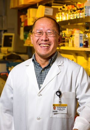 Dongsheng Duan, PhD, is the Margaret Proctor Mulligan Professor in Medical Research. Duan, who used gene therapy to prevent muscular dystrophy in dogs in 2015, is giving the research to a clinic to test on humans with muscular dystrophy. [Justin Kelley/University of Missouri Health Care]