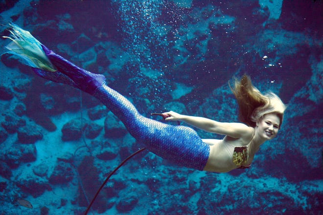The Weeki Wachee Mermaids usually swim at one of Florida's oldest family attractions, the Weeki Wachee Springs State Park north of Tampa. [CONTRIBUTED]