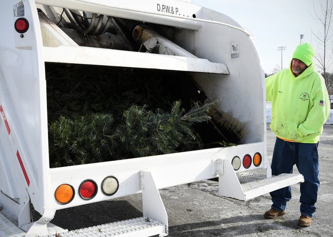 Worcester DPW employee Harvey Joslin helps collect Christmas trees on Chandler Street on Friday. [T&G Staff/Ashley Green]