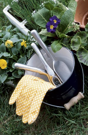Learn about gardening at several upcoming workshops. [Thinkstock photo]