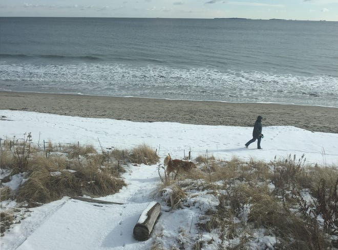A person walks along a Rye town beach ahead their dog, seen at center of photo, which is on private property. Rye selectmen will discuss a proposal for a leash law at their next meeting Jan. 22. [Courtesy photo]