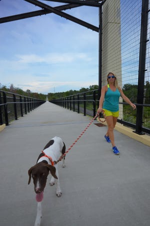 Jodie Stratton of Edgewater with German short hair pointer, Hank, on the Edgewater overpass of the East Coast Regional Rail Trail. State officials are planning next to take the trail into New Smyrna Beach and South Daytona. [Kelly Faulkenham]