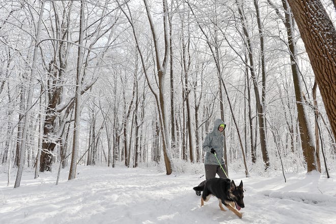 Katie Urban walks her German shepherd, Major, under snow-covered trees on a trail at Scott Park in Millcreek Township on Feb. 1, 2017. [CHRISTOPHER MILLETTE FILE PHOTO/ERIE TIMES-NEWS]