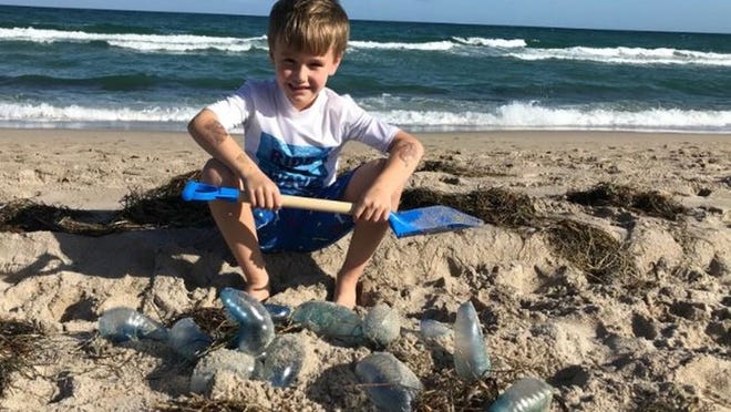 Harrison Smith, 6, sits behind Portuguese man-of-war he shoveled into a pile on a private beach in Delray Beach, Monday, Jan. 22, 2018. Photo courtesy Tara Smith