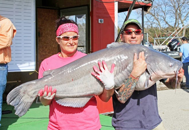 From left, Stephanie and Robert Stanley hold up an 82.6-pound blue catfish that Stephanie caught during one of the Catfish Chasers events. It was the largest officially-weighed blue catfish ever caught on a Kansas lake. [Submitted photo]