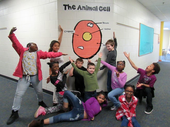 Harry E. James Elementary School students from Art Teacher Victoria Martin's WIN class show off the animal cell mural they created. [Kate Gibson/progress-index.com]