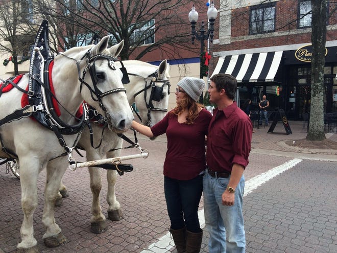 The Downtown Alliance is offering horse-drawn carriage rides through downtown Fayetteville on Feb. 10 from 1 to 8 p.m. Call 678-8899 to make reservations. [File photo/The Fayetteville Observer]