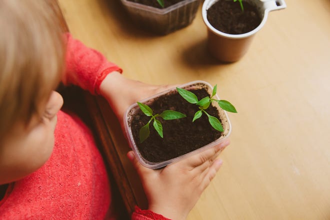 Don't wait untill spring to do gardening activities with your kids or grandkids. [Bigstock]