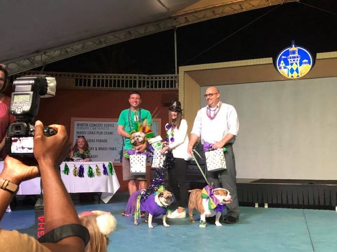 The top three winners during the Mardi Paws costume contest were Woody, Ocho and Sansa. [CONTRIBUTED PHOTO]