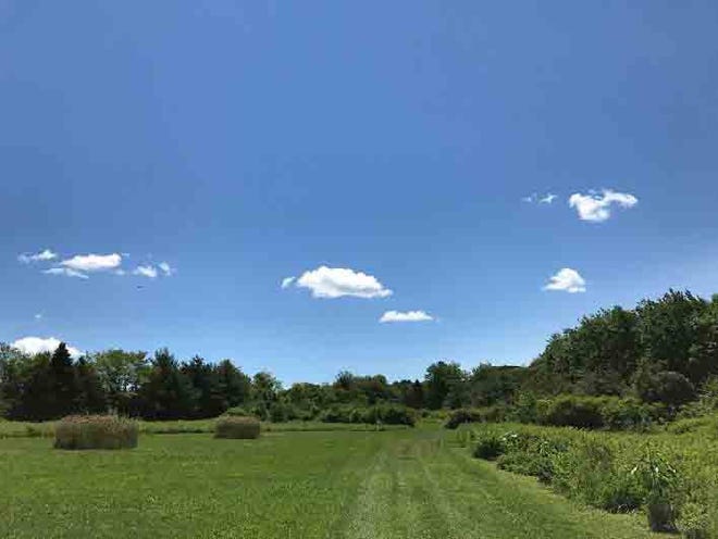 The Aquidneck Land Trust announced Thursday that it had successfully purchased Little Creek Preserve in Portsmouth and will now seek additional funds to improve the site and make it accessible to the public.