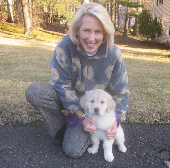 Nancy Palmer is walking around with a big smile these days. Puppy Benson “Benny” has brought lots of joy to Nancy and her husband Joe. [WICKED LOCAL PHOTO / MYRNA FEARER]